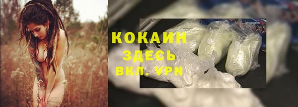 гидра Аркадак