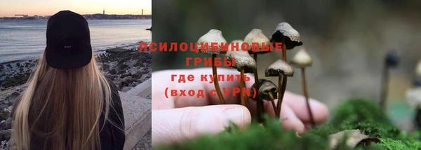дурь Арсеньев