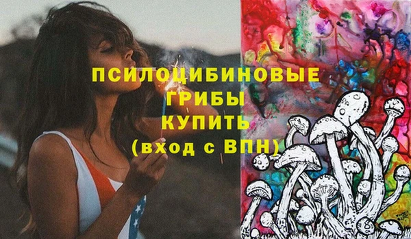 дурь Арсеньев