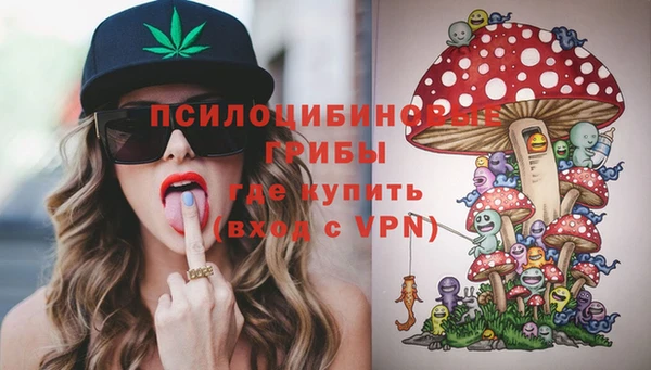 ГАЛЛЮЦИНОГЕННЫЕ ГРИБЫ Армянск