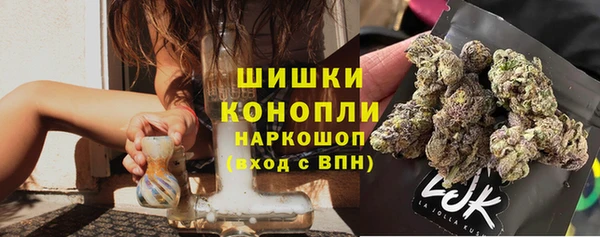 дурь Арсеньев