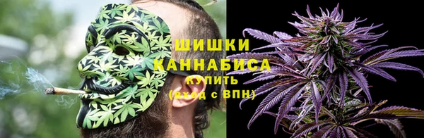 гидра Аркадак