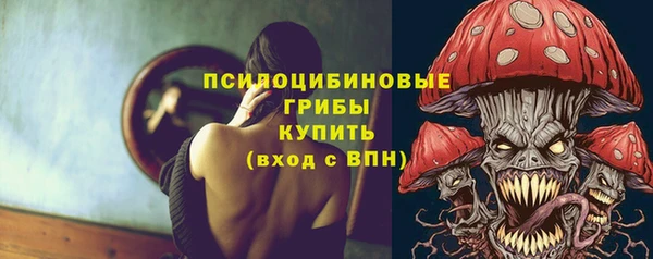 ГАЛЛЮЦИНОГЕННЫЕ ГРИБЫ Армянск