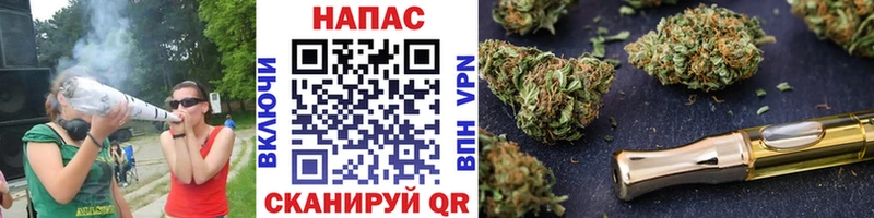 Купить где  Грязи  Каннабис White Widow 